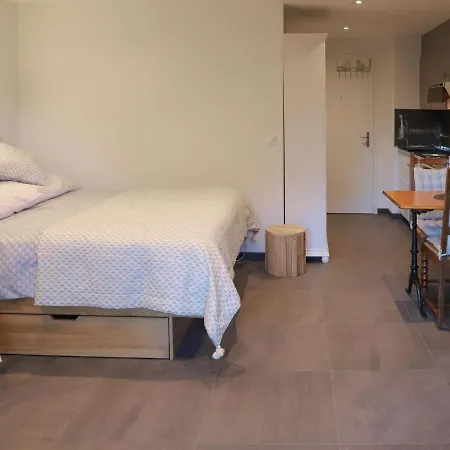 Studio Les Bruyeres 2 Daire Chesières